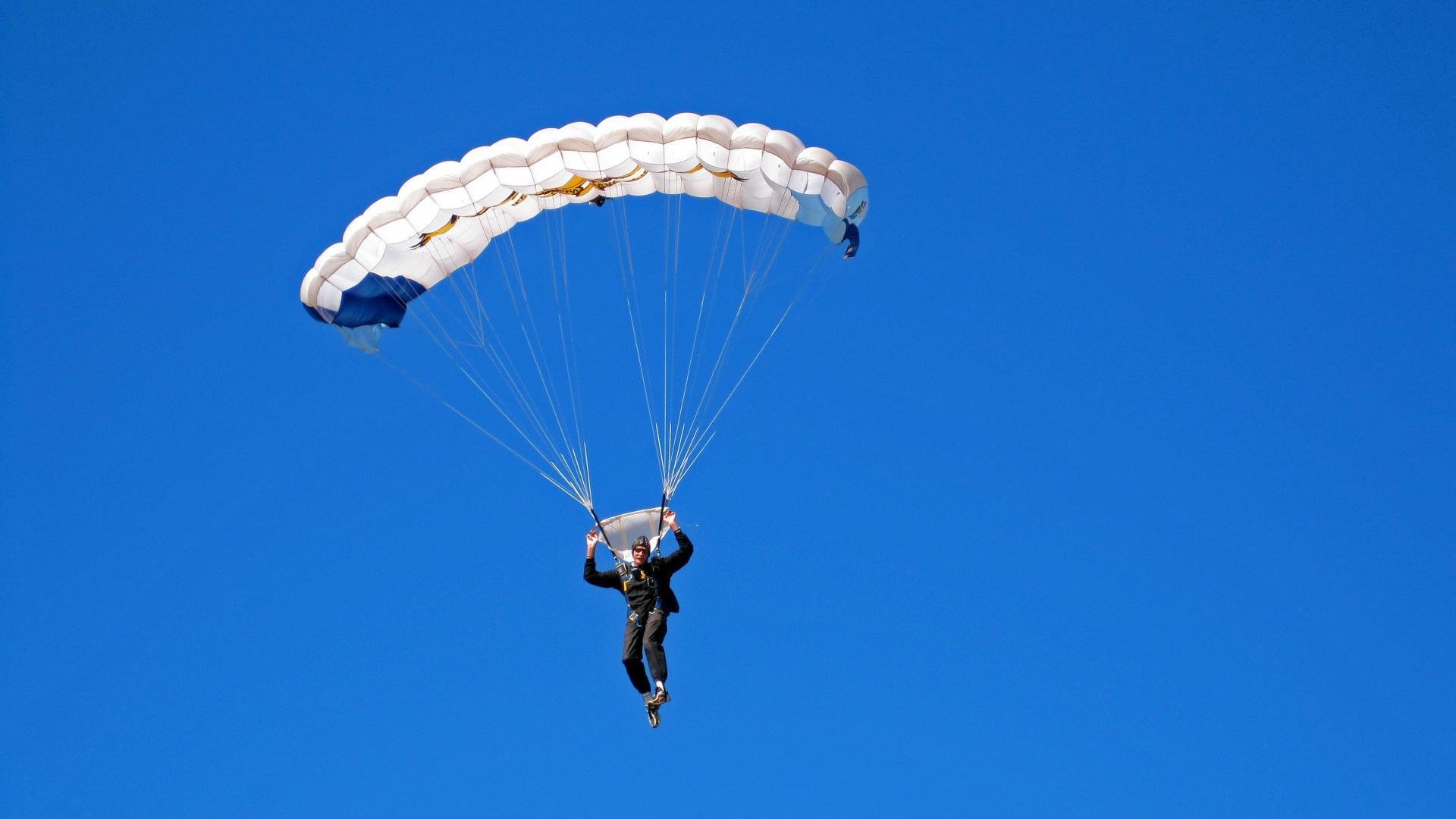 南非羚羊队的反击战术：他们每次进攻都打得精准而犀利，南非大羚羊主要分布哪里